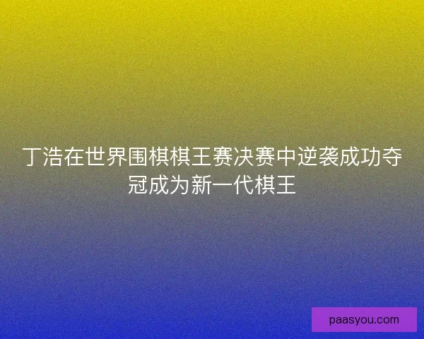丁浩在世界围棋棋王赛决赛中逆袭成功夺冠成为新一代棋王 丁浩在世界围棋棋王赛决赛中逆袭成功夺冠成为新一代棋王